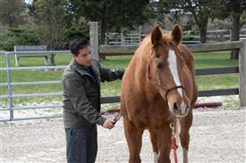 LR-WRF 0402026 Retreat-3143